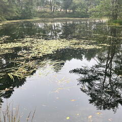 23-09-10 09-44-06 6585